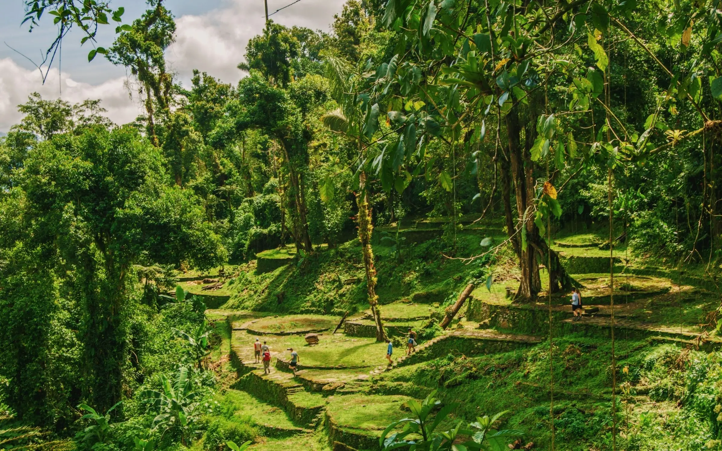 Naturaleza que se respeta, selva y mar intactos – Genn Hotels