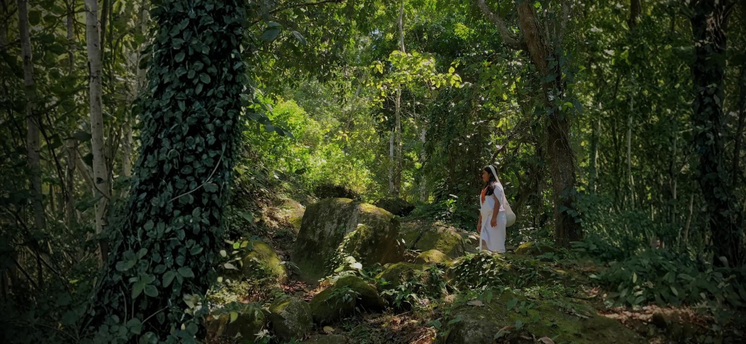 Comunidad y territorio, Sierra Nevada de Santa Marta – Genn Hotels