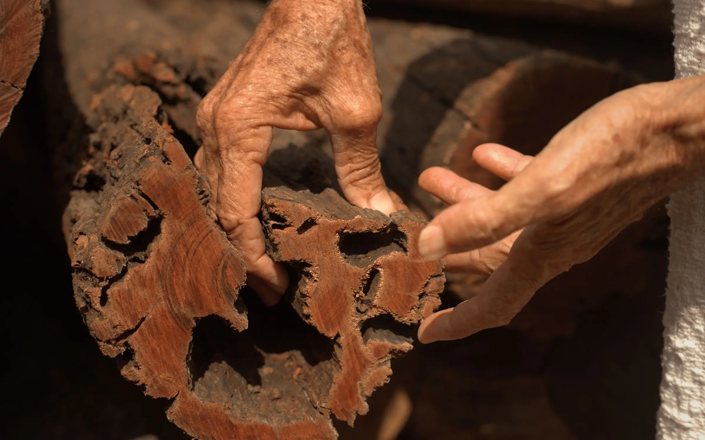 El origen: manos que construyen, madera y palma – Genn Hotels