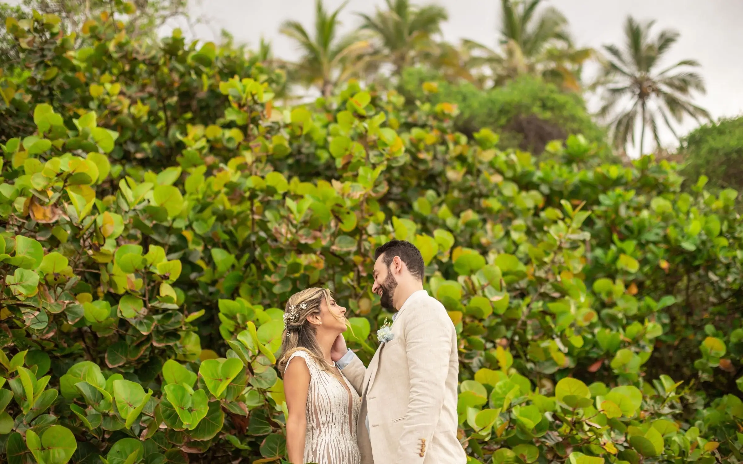 La celebración – Genn Hotels