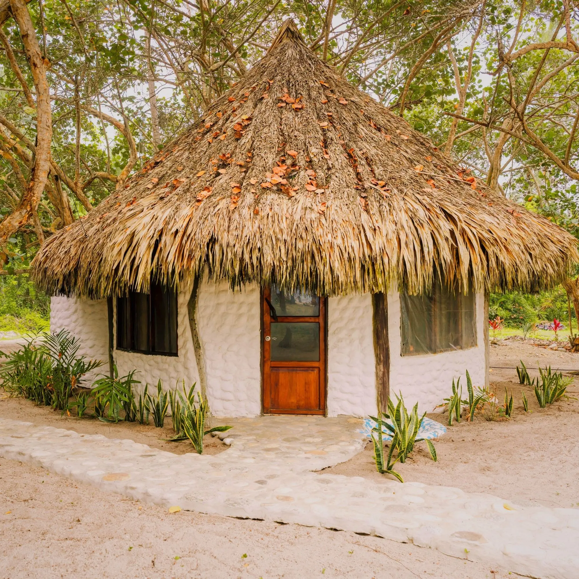 Vista al jardín, selva alrededor del bungalow – Genn Tayrona