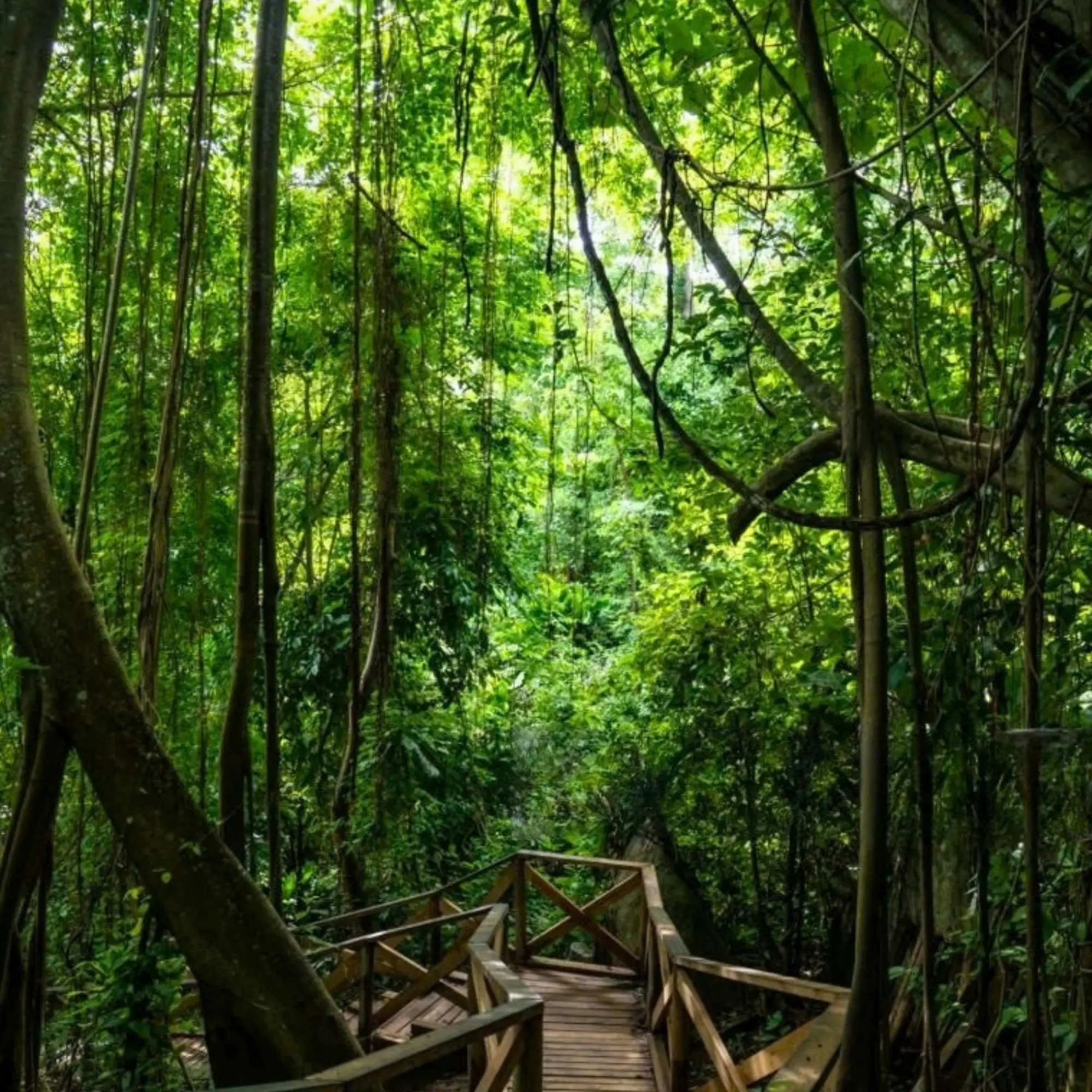 Foto de la experiencia 13 – Genn Tayrona