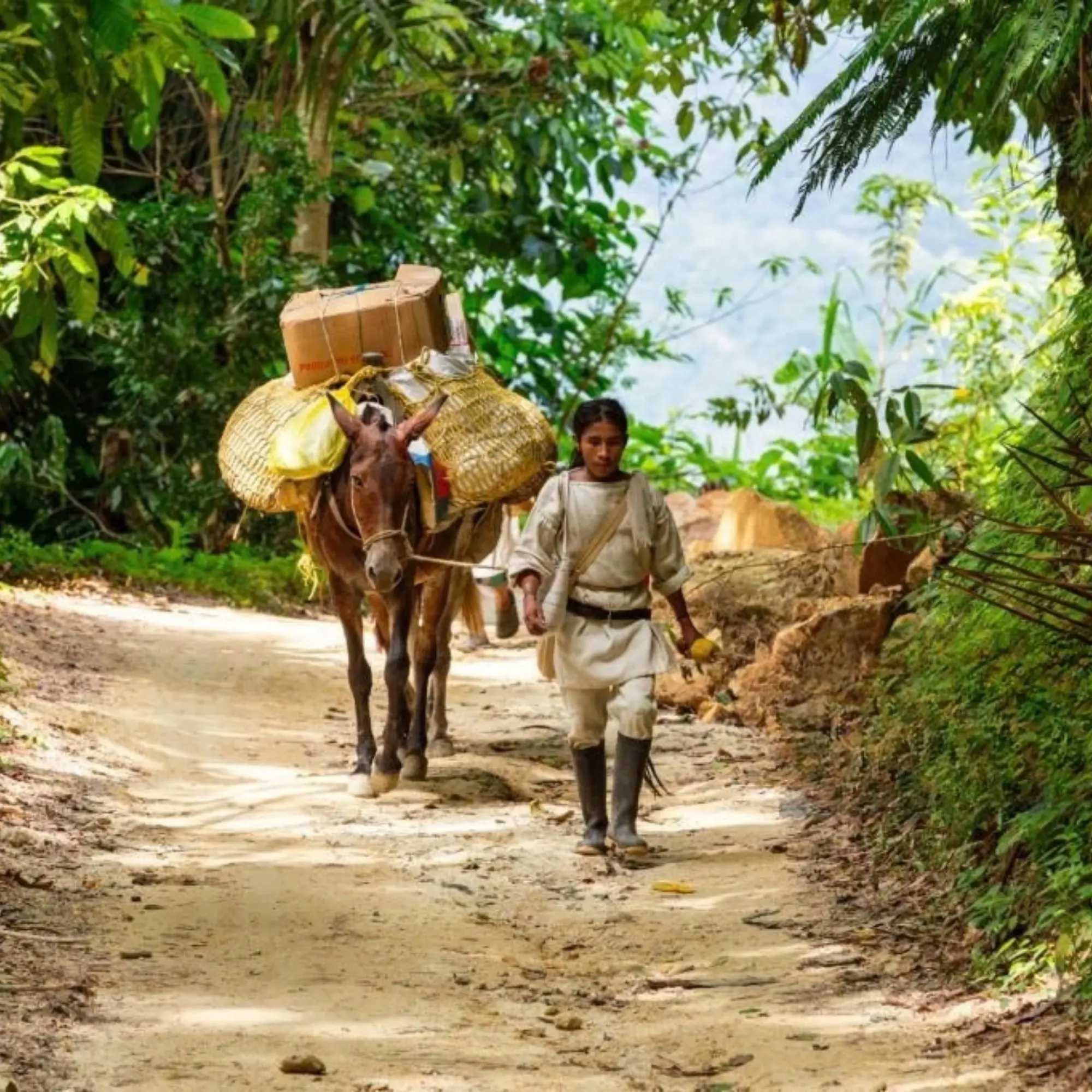 Foto de la experiencia 16 – Genn Tayrona