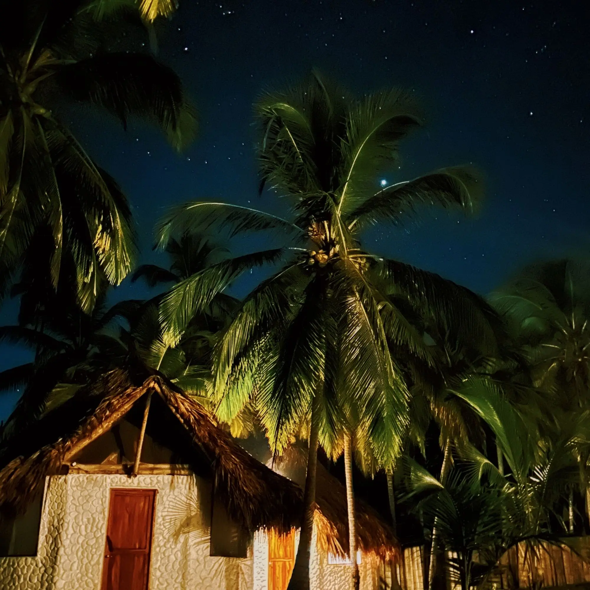 Noche estrellada sobre la playa, cielo abierto – Genn Tayrona